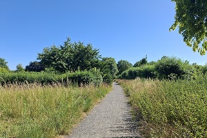 Rundgang Umgebung 08