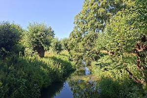 Rundgang Umgebung 10