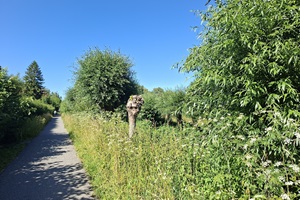 Rundgang Umgebung 11