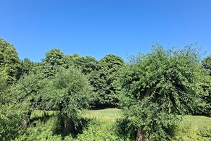 Rundgang Umgebung 12